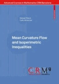 Mean Curvature Flow and Isoperimetric Inequalities.