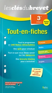 Tout-en-fiches 3e