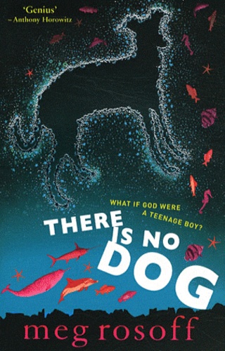 Meg Rosoff - There is no Dog.