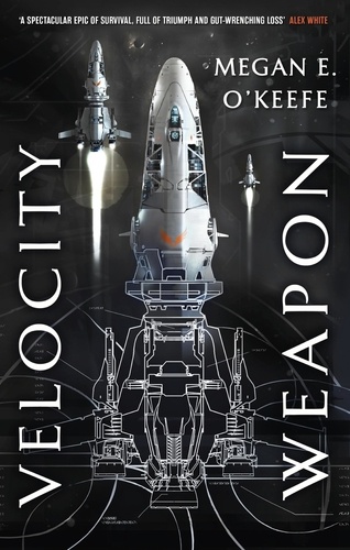 Velocity Weapon. Book One of The Protectorate