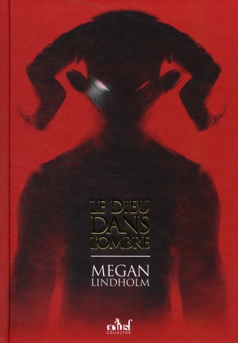 Le dieu dans l'ombre de Megan Lindholm - Grand Format - Livre - Decitre