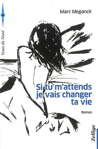Si tu m'attends je vais changer ta vie