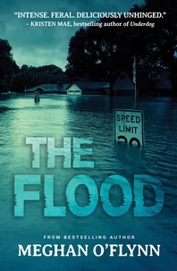  Meghan O'Flynn - The Flood: An Intense Psychological Crime Thriller.
