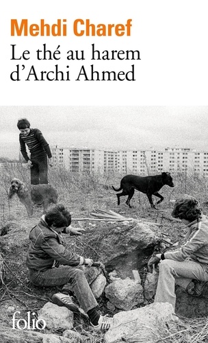 Le The Au Harem D'Archi Ahmed