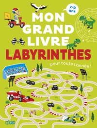 Mon grand livre de labyrinthes pour toute l'année !