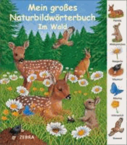 Mein großes Naturbildwörterbuch: Im Wald.
