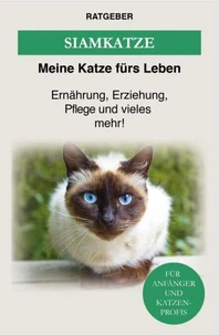 Siam Katze