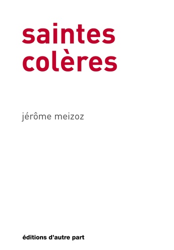 Meizoz Jerome - Saintes colères.