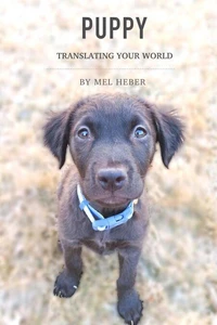 Puppy, Translating Your World