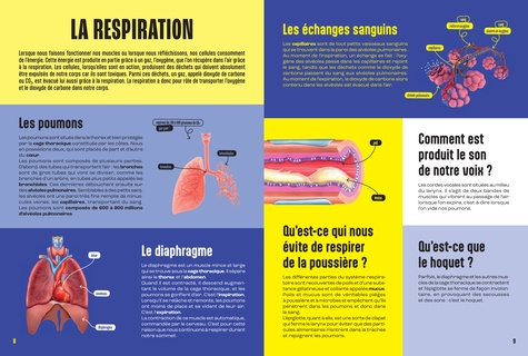 Le corps humain. Avec 1 poster