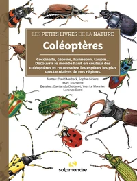 Coléoptères