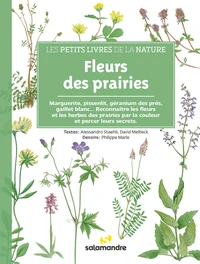 Fleurs des prairies