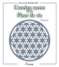 L'Ancien Secret De La Fleur De Vie. Tome 2