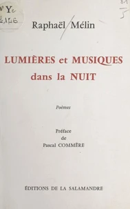 Lumières et musiques dans la nuit