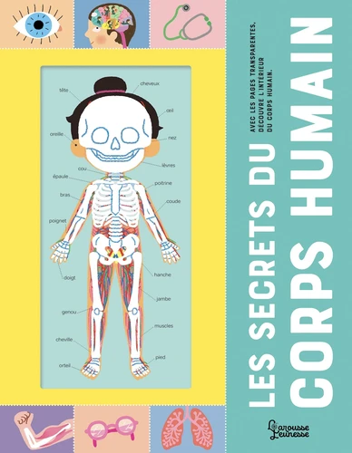 Couverture de Les secrets du corps humain : avec les pages transparentes, découvre l'intérieur du corps humain