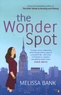 Melissa Bank - The Wonder Spot.