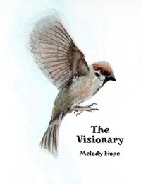 The Visionary - The Visionary, #1