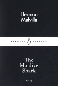 The Maldive Shark