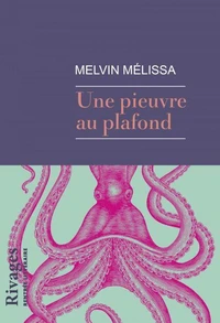 Une pieuvre au plafond
