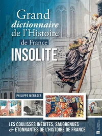 Grand dictionnaire de l'Histoire de France insolite