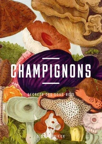 Champignons