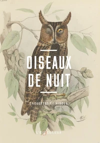 Oiseaux de nuit - Chouettes et hiboux
