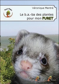 Le b.a.-ba des plantes pour mon furet