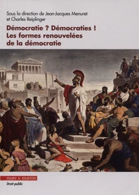 Démocratie ? Démocraties !