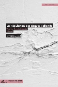 La régulation des risques collectifs