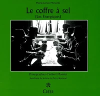 Le coffre à sel (Les énergiques)