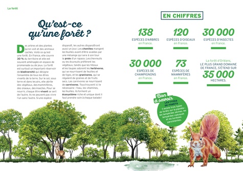 Découvre et créé en forêt. Plus de 30 activités à faire seul ou entre copains !