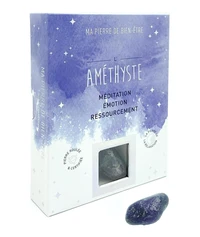 L'améthyste (coffret)