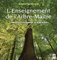 L'enseignement de l'arbre-maître