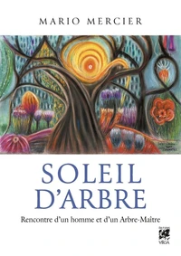 Soleil d'arbre