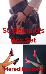  Meredith Stone - St. Bernard's Box Set - St. Bernard's, #4.