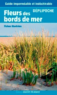 Fleurs du bord de mer