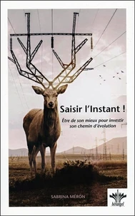 Saisir l'instant !