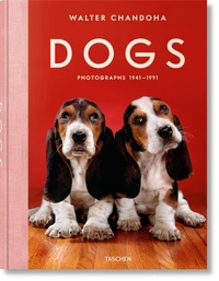Dogs