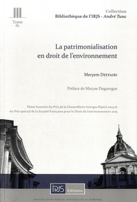 Meryem Deffairi - La patrimonialisation en droit de l'environnement.