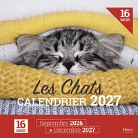 Calendrier des chats