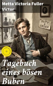 Tagebuch eines bösen Buben