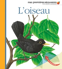 L'oiseau