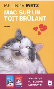 Mac sur un toit brûlant