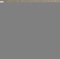 De l'un à l'autre. Toiles filées de Denis Castaing