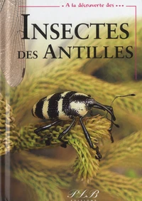 Insectes des Antilles françaises
