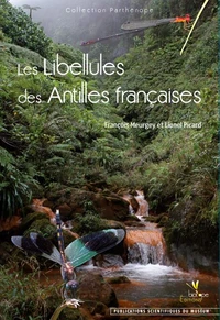 Les libellules des Antilles françaises