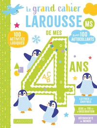 Le grand cahier Larousse de mes 4 ans MS