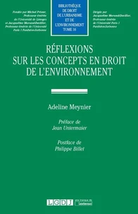 Réflexions sur les concepts en droit de l'environnement