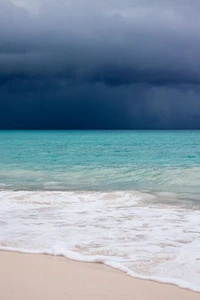 The Big Blue