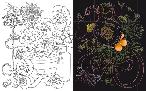 Le monde des fleurs. Avec 12 tableaux détachables à gratter et 1 crayon biface en bois